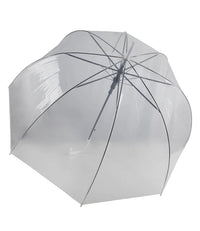 Clear Umbrella