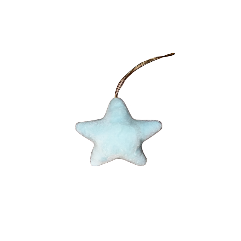 velvet hanging star