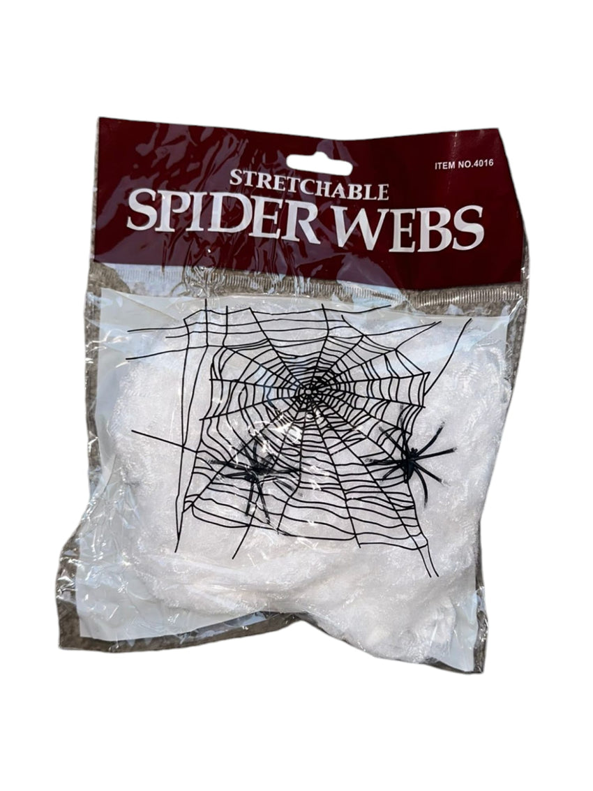 Spider webs and spiders